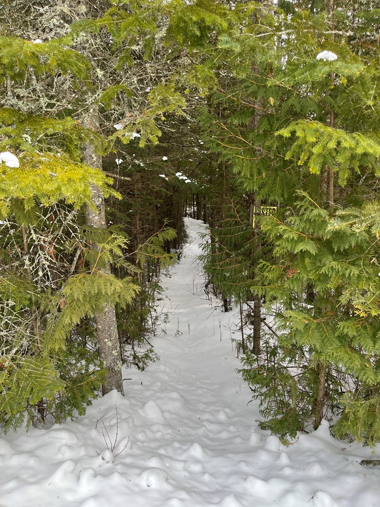 Kinsey Bay Ln, Sister Bay, WI 54234 - Image #3