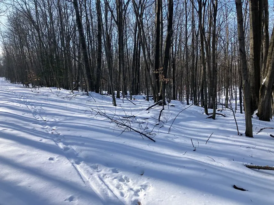 6863 E Spring Ln, Egg Harbor, WI 54209 - Image #2