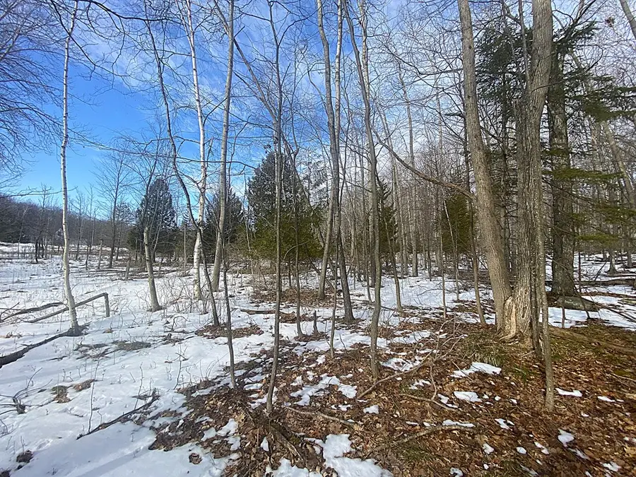Site 9 Cottage Bluff Ln, Fish Creek, WI 54212 - #2