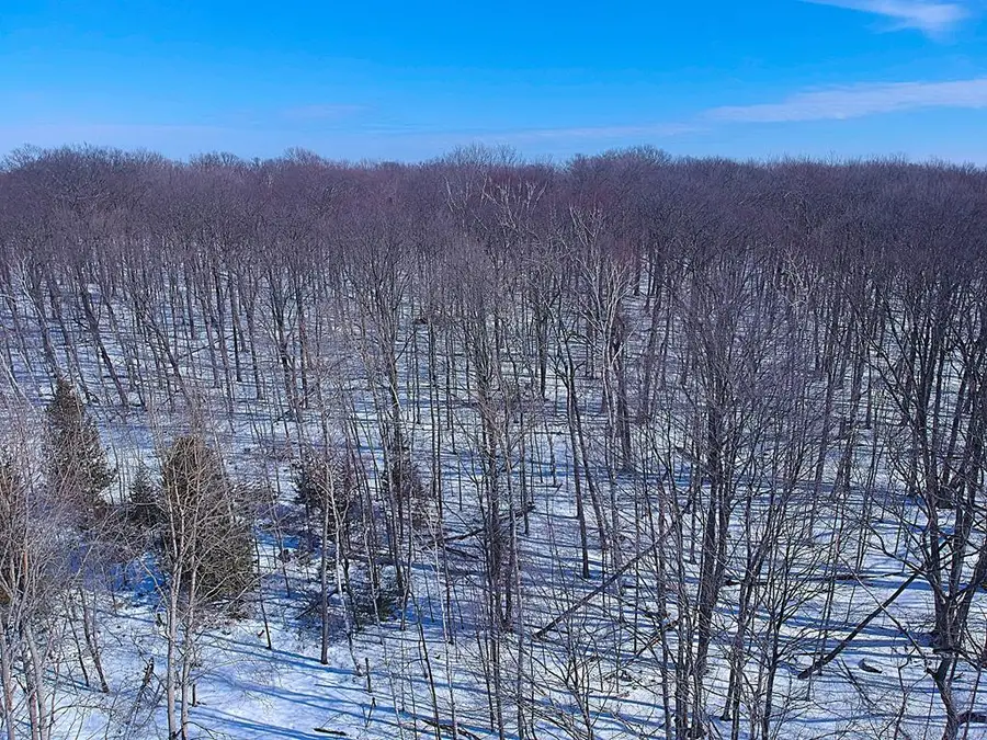 Site 9 Cottage Bluff Ln, Fish Creek, WI 54212 - #3