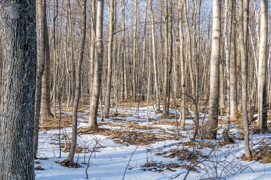 Lot 1 Hawk Ln, Baileys Harbor, WI 54202 - #3