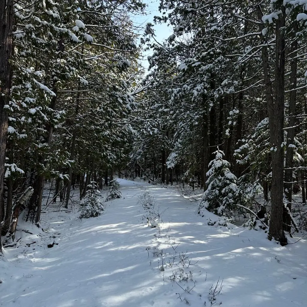 Lot 12 Standing Stone Ln, Baileys Harbor, WI 54202 - #1