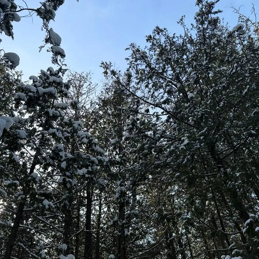 Lot 12 Standing Stone Ln, Baileys Harbor, WI 54202 - #3