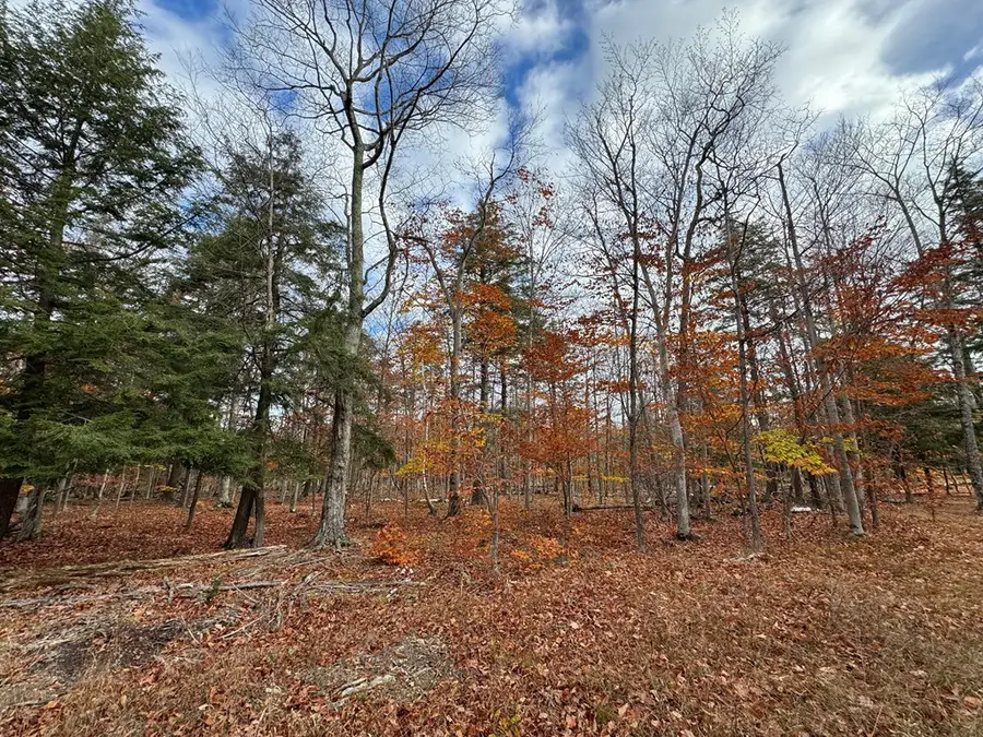 TBD Deer Lane Rd, Washington Island, WI 54246 - #3