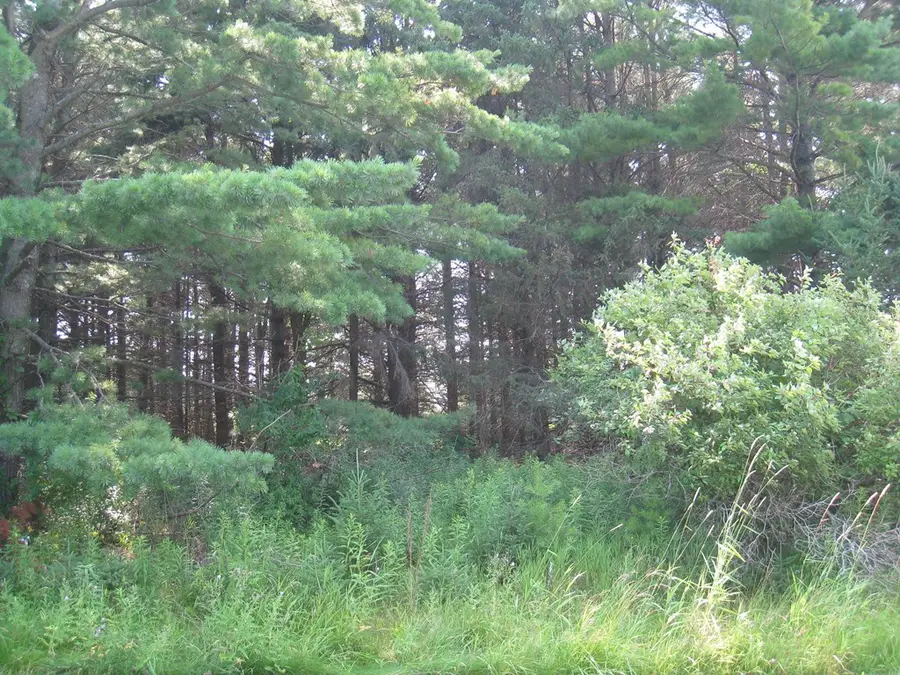 Lot 4 Hainesville Rd, Sturgeon Bay, WI 54235 - #2