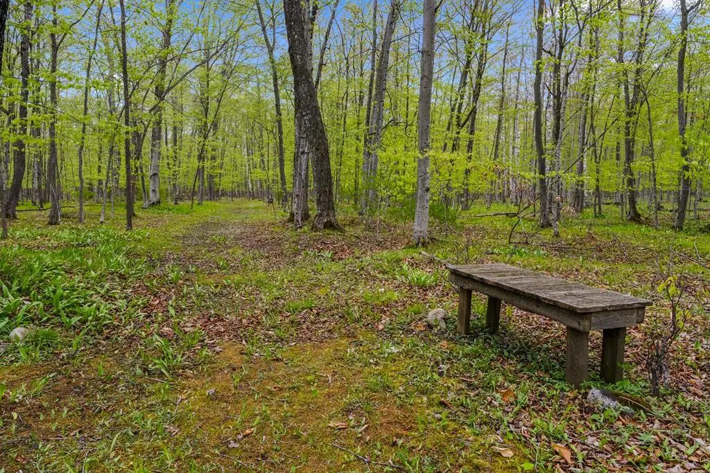 TBD Mink River Rd, Ellison Bay, WI 54210 - #1