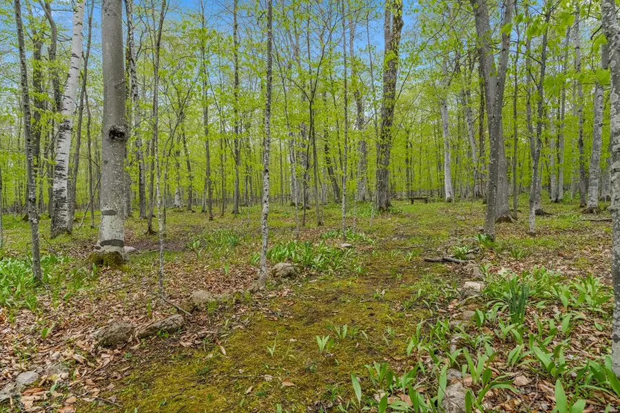 TBD Mink River Rd, Ellison Bay, WI 54210 - #3