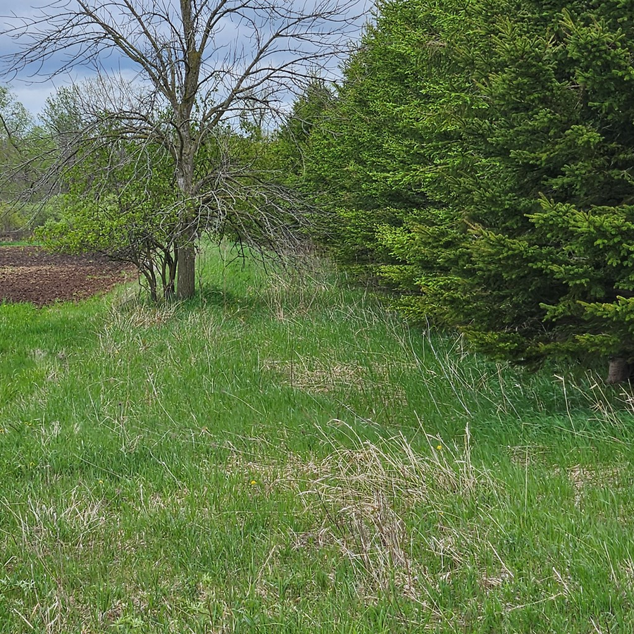 County Rd J, Brussels, WI 54204 - #3