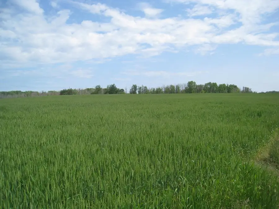 6703 Hwy 42/57, Sturgeon Bay, WI 54235 - #2