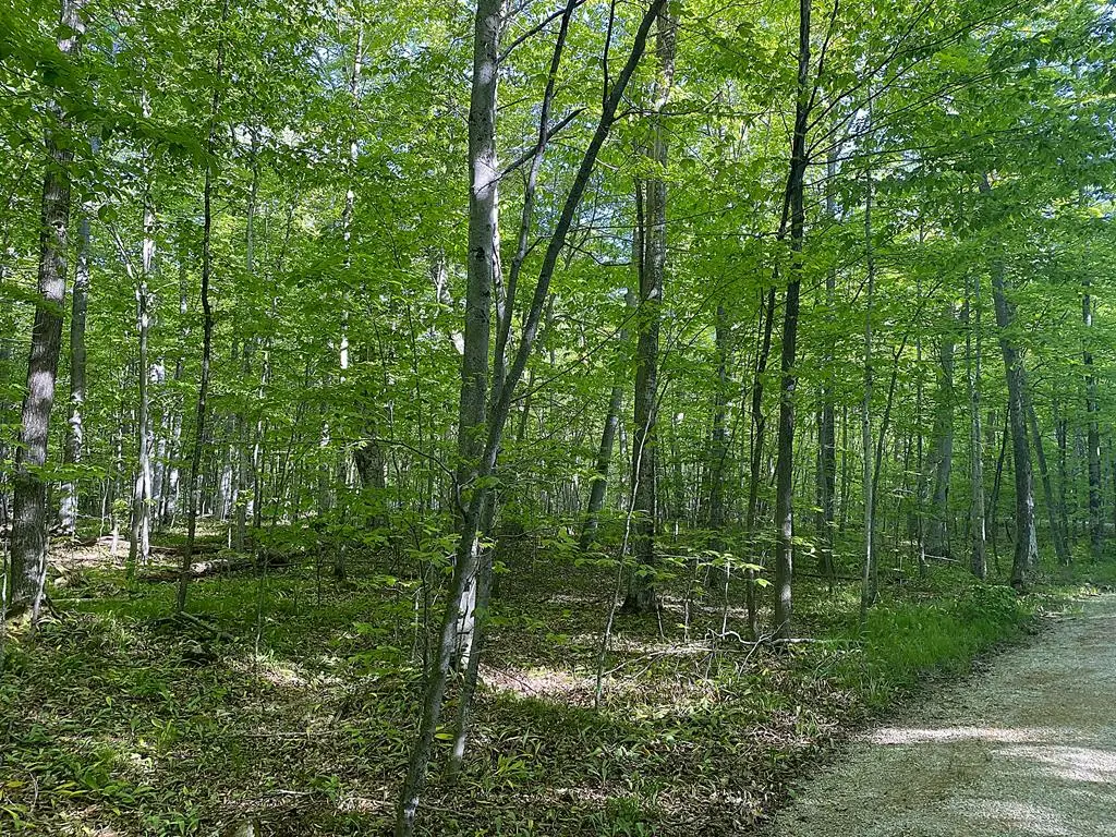 TBD Garrett Bay Ln, Ellison Bay, WI 54210 - #1