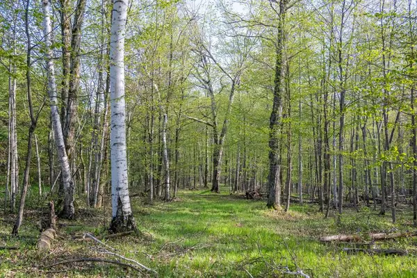 TBD S Highland Rd, Fish Creek, WI 54212