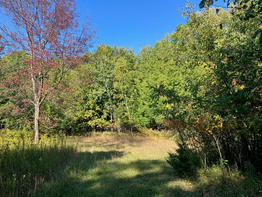 TBD Beach Rd, Sister Bay, WI 54234 - #1