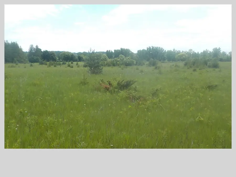 County Rd M, Sturgeon Bay, WI 54235 - #3