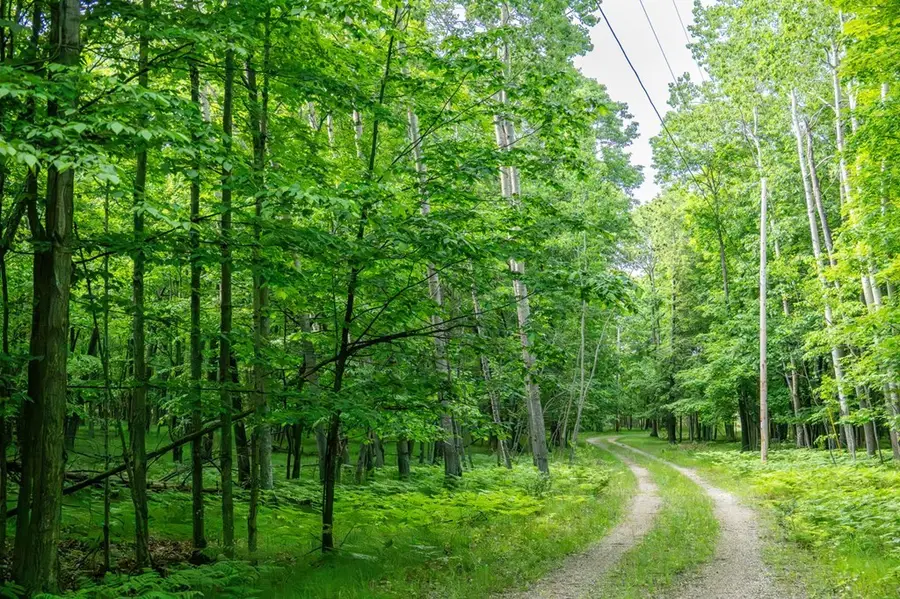Lot 6 White Cliff Woods Ln, Fish Creek, WI 54212 - #2