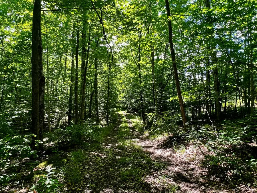 9043 County Rd A, Fish Creek, WI 54212 - #2