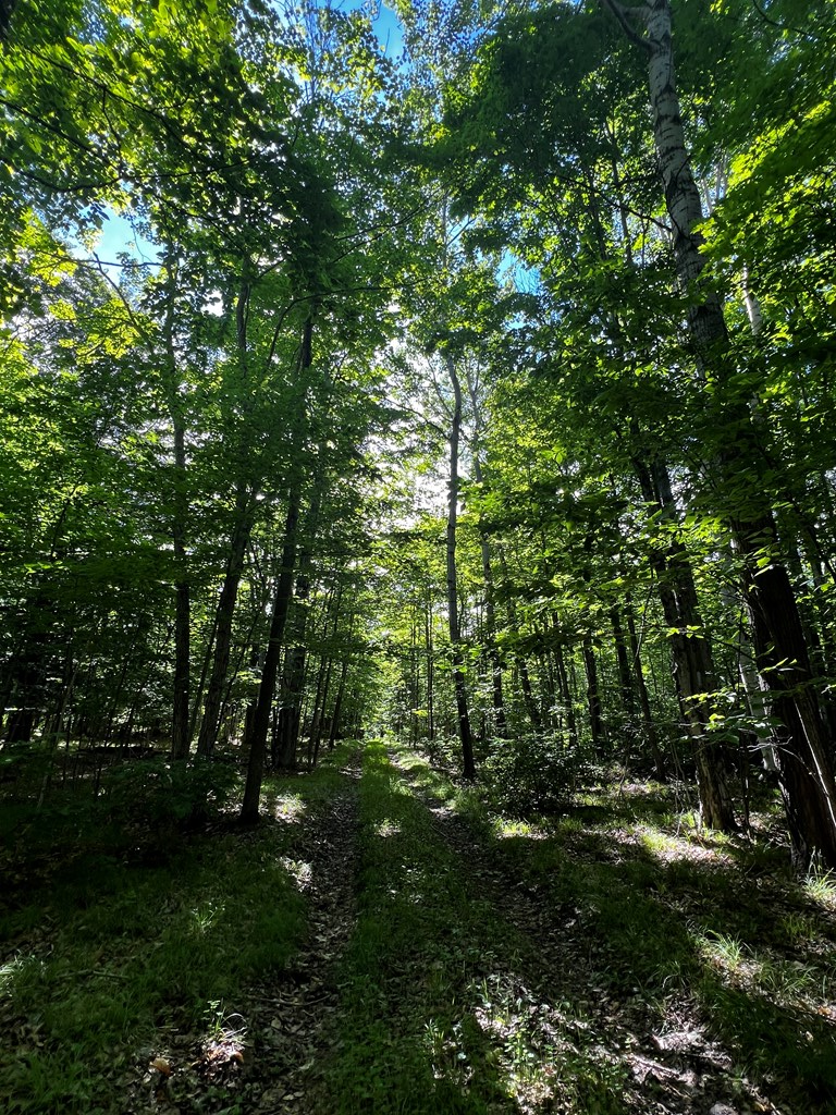 9043 County Rd A, Fish Creek, WI 54212 - #3