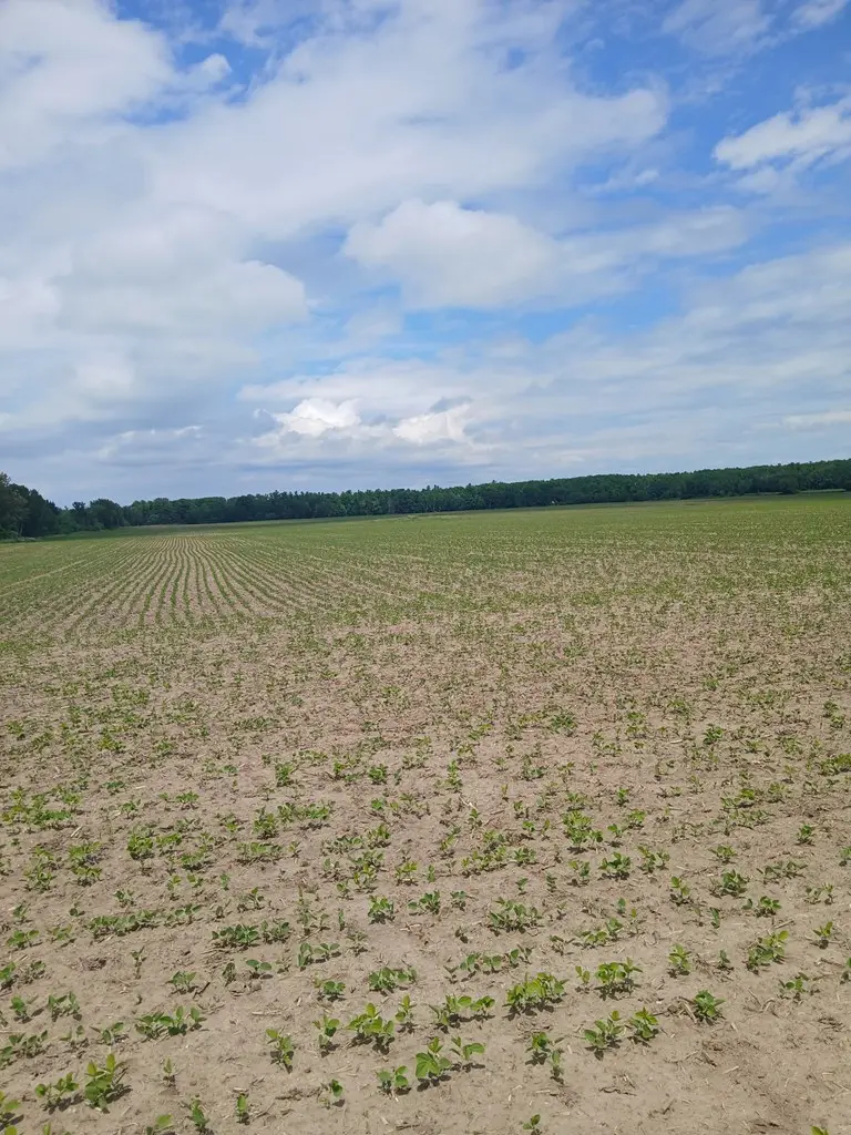TBD County Rd Hh, Sturgeon Bay, WI 54235 - #3