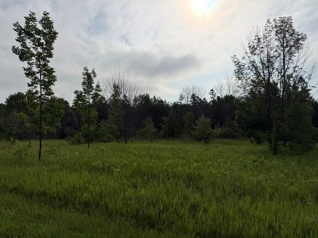 Hillcrest Rd, Sister Bay, WI 54234 - #1