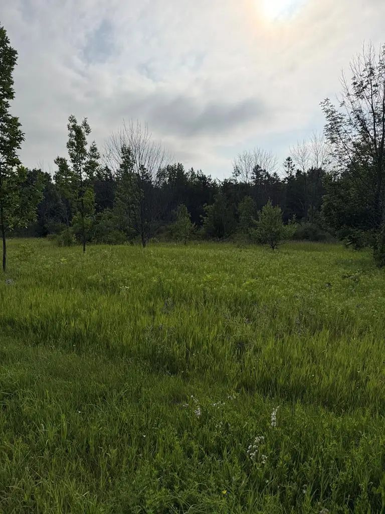 Hillcrest Rd, Sister Bay, WI 54234 - #2