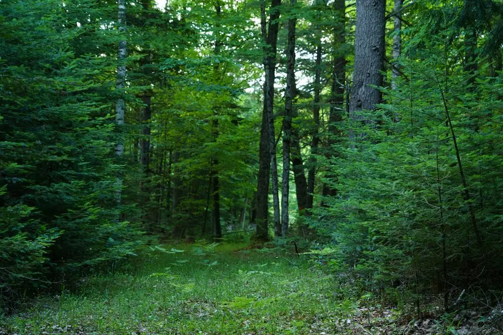 Lot 5 County Rd F, Fish Creek, WI 54202 - #1