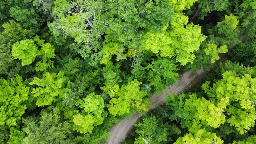 County Rd Np, Ellison Bay, WI 54210 - #2
