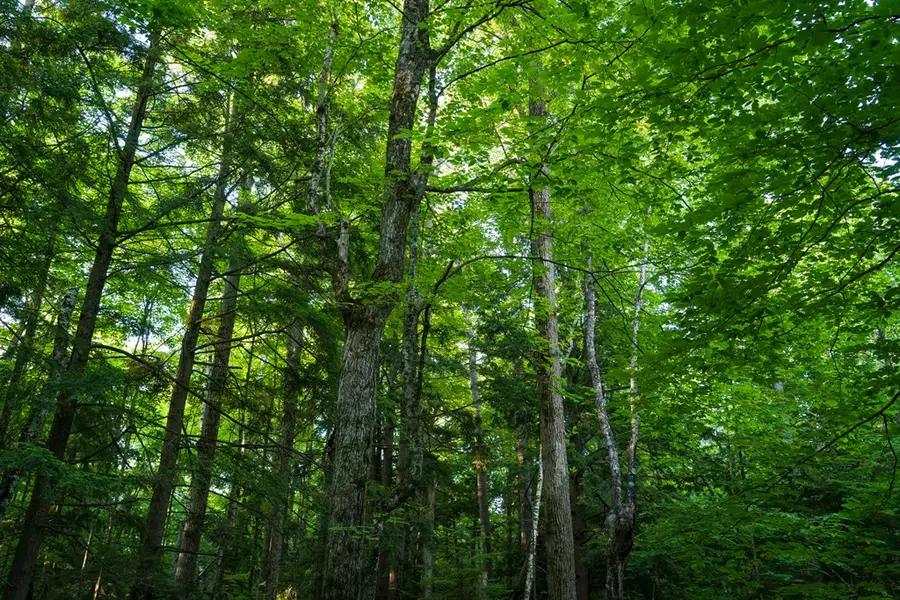 Lot 11 County Rd F, Baileys Harbor, WI 54202 - #3