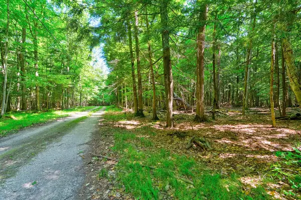 TBD S Beech Cir, Egg Harbor, WI 54235