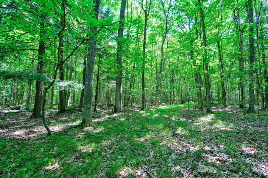 TBD S Beech Cir, Egg Harbor, WI 54235 - #2