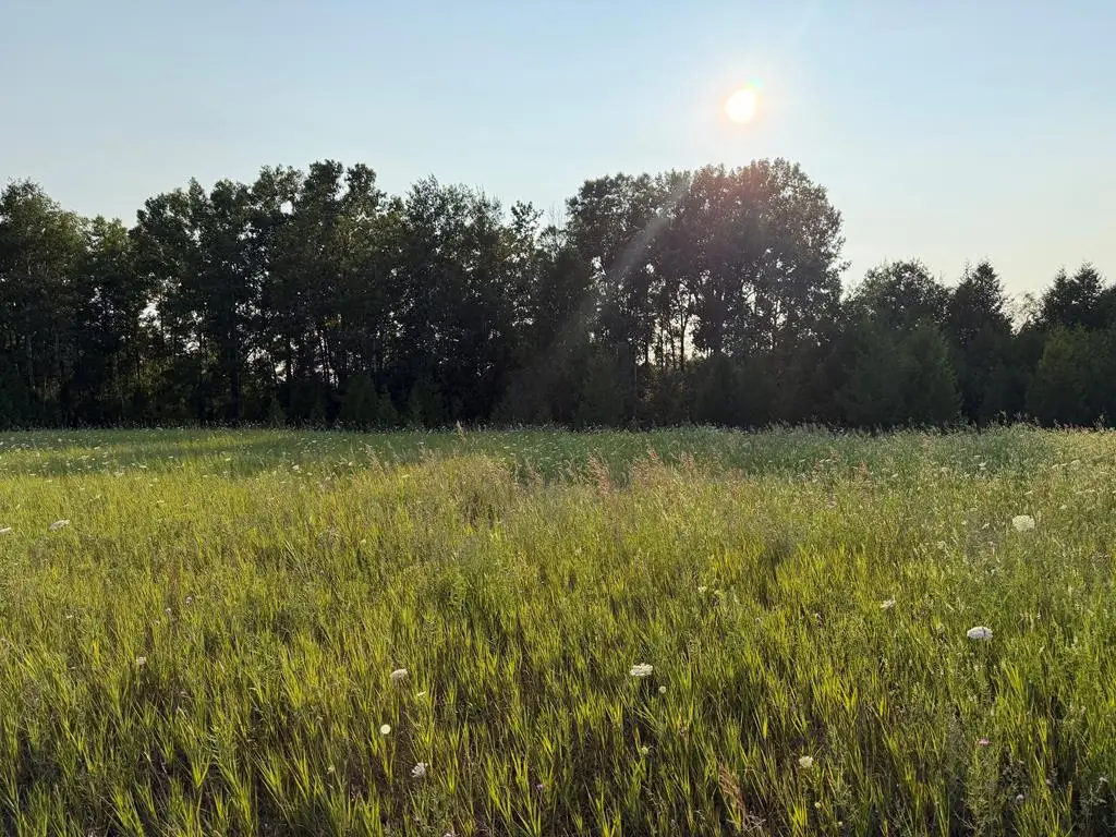 Country View Rd, Sturgeon Bay, WI 54235 - #1
