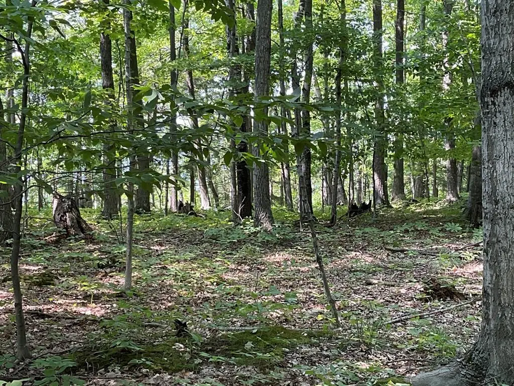Monument Bluff Pass, Sturgeon Bay, WI 54235 - #1
