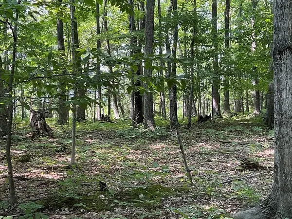 Monument Bluff Pass, Sturgeon Bay, WI 54235