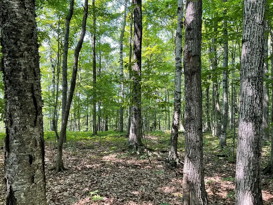 Monument Bluff Pass, Sturgeon Bay, WI 54235 - #3