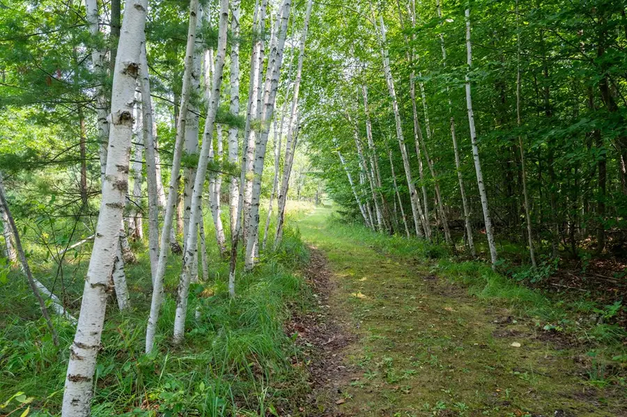 Lot 0 Blackberry Rd, Ellison Bay, WI 54210 - #2