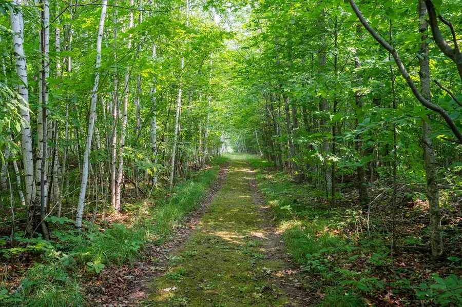 Lot 0 Blackberry Rd, Ellison Bay, WI 54210 - #3