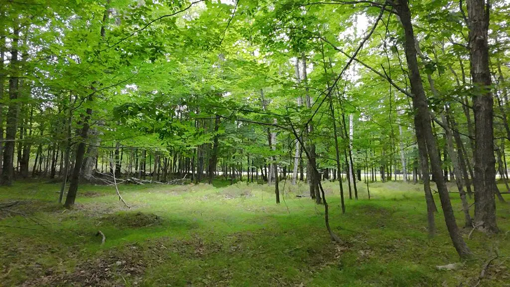 Lot 12 Gibraltar Rd, Fish Creek, WI 54212 - #1