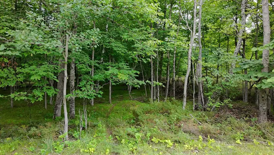 Lot 12 Gibraltar Rd, Fish Creek, WI 54212 - #2