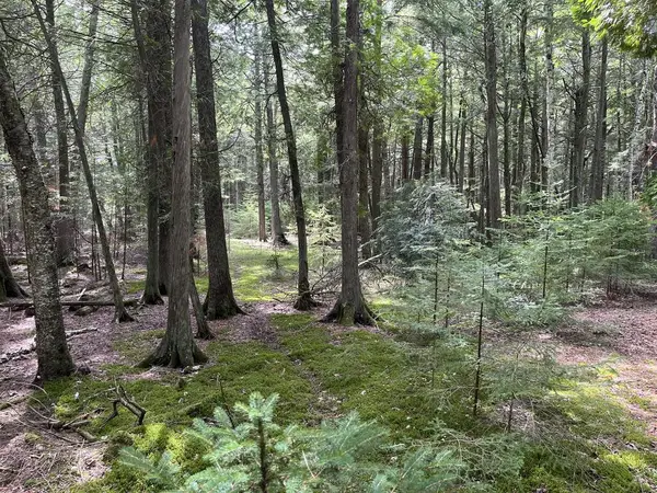 W Cana Island Rd, Baileys Harbor, WI 54202