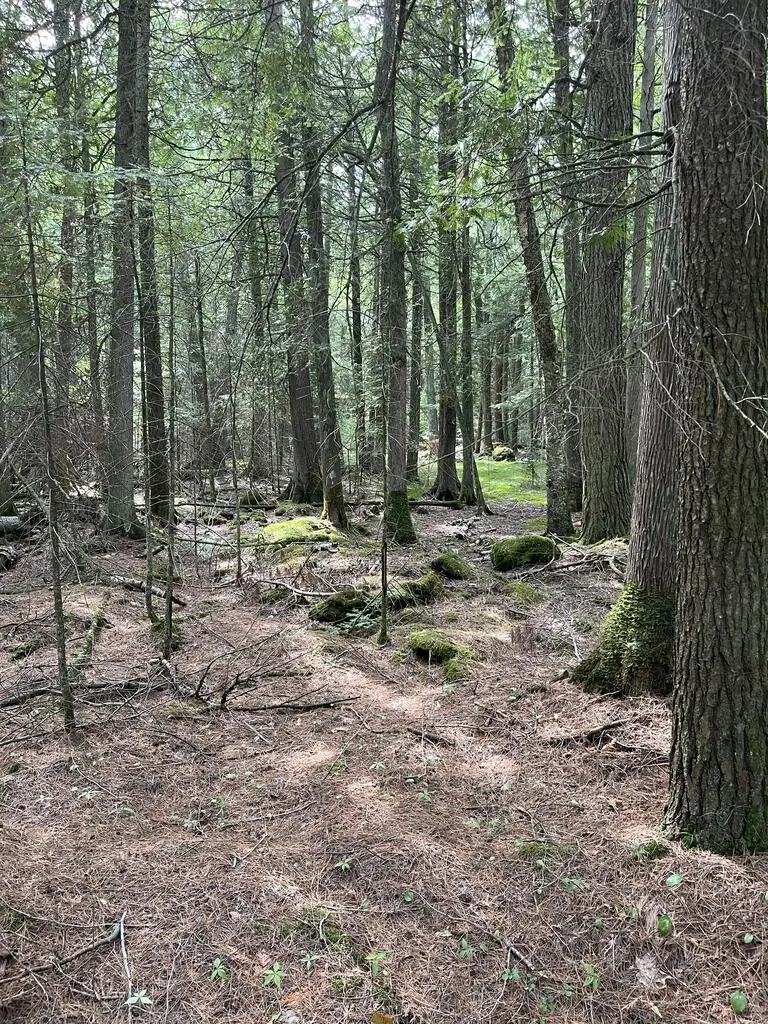 W Cana Island Rd, Baileys Harbor, WI 54202 - #3