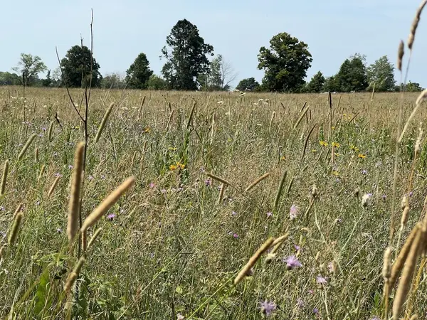 TBD County Rd F, Town of Gibraltar, WI 54212
