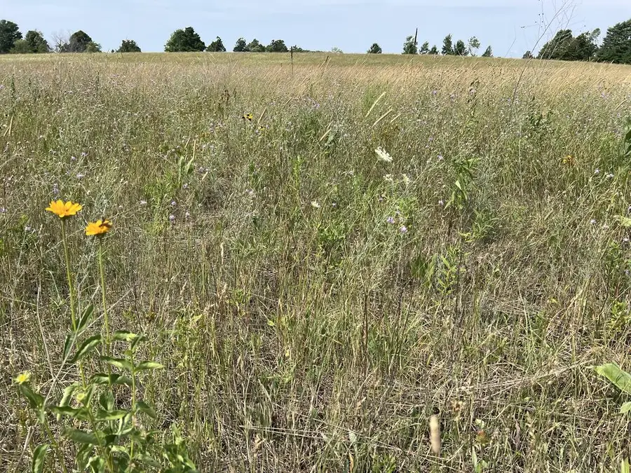 TBD County Rd F, Gibraltar, WI 54212 - #3