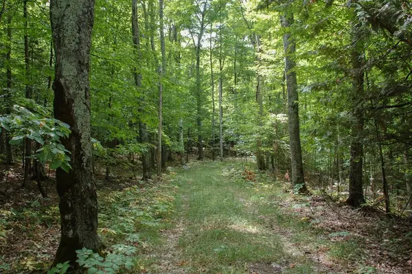 1845 Hillside Dr, Ellison Bay, WI 54210