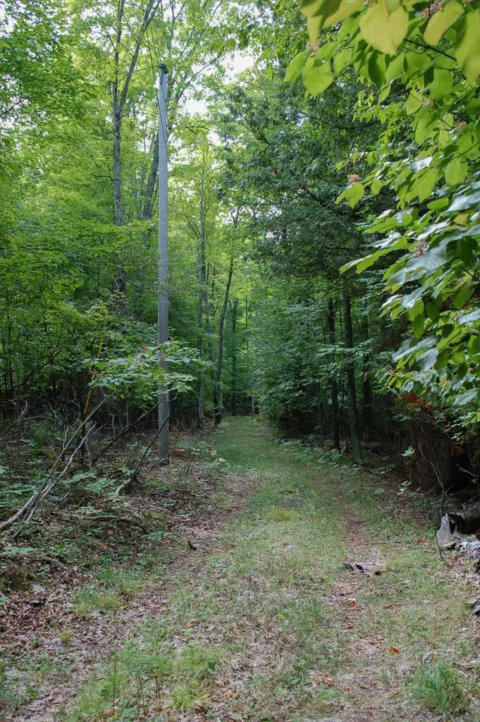 1845 Hillside Dr, Ellison Bay, WI 54210 - #2