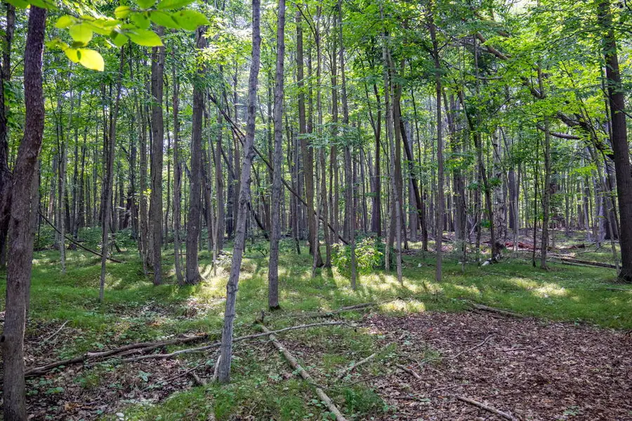 Lot 2 Memorial Dr, Egg Harbor, WI 54209 - #3