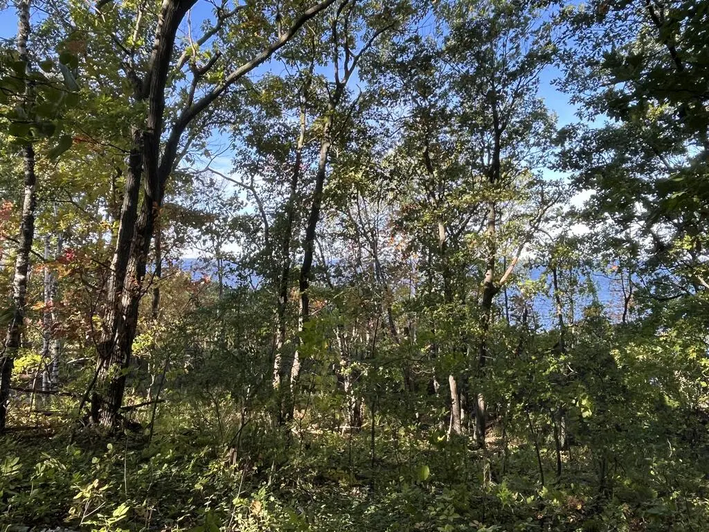 W Whitefish Bay Rd, Sturgeon Bay, WI 54235 - #1