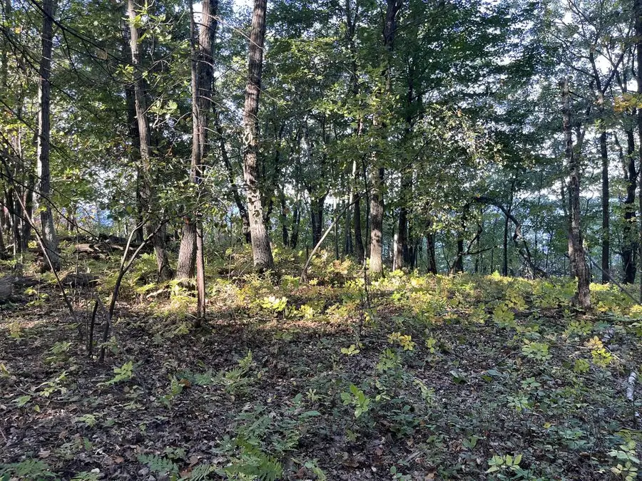 W Whitefish Bay Rd, Sturgeon Bay, WI 54235 - #2