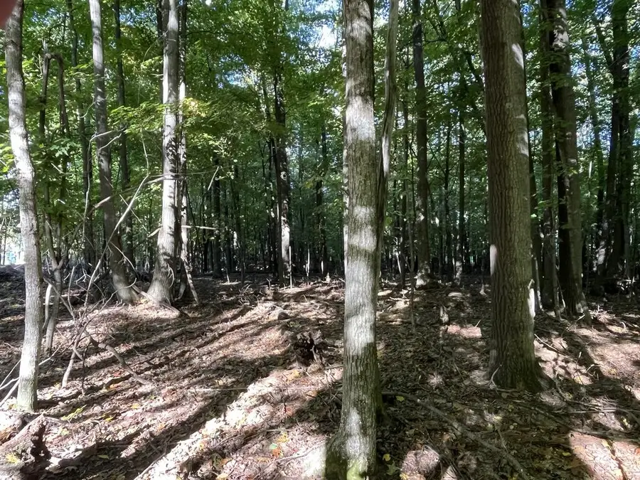 W Whitefish Bay Rd, Sturgeon Bay, WI 54235 - #3