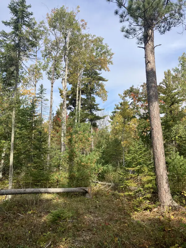TBD Europe Bay Rd, Ellison Bay, WI 54210