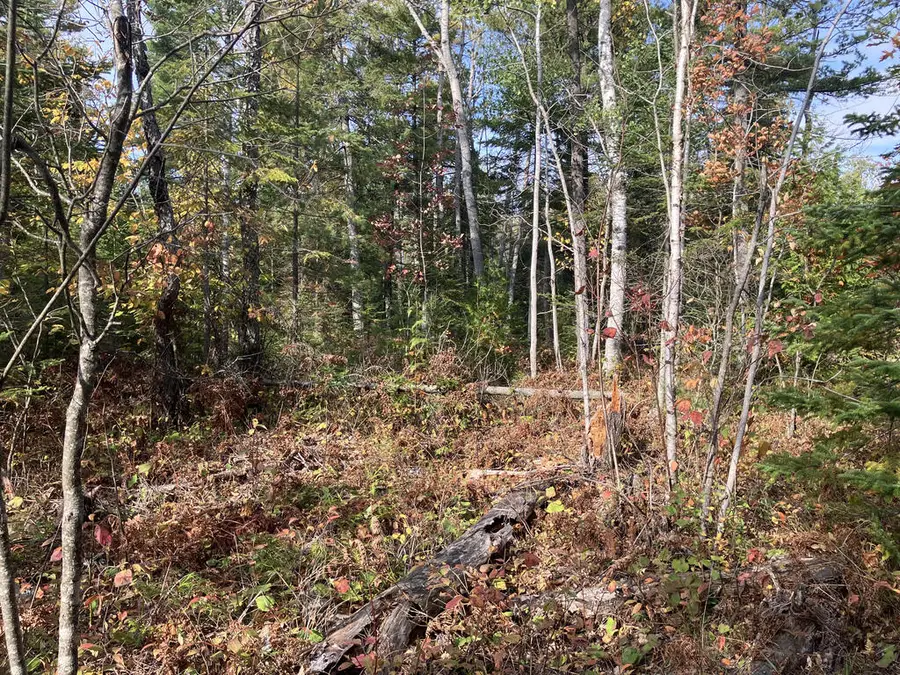 TBD Europe Bay Rd, Ellison Bay, WI 54210 - #3