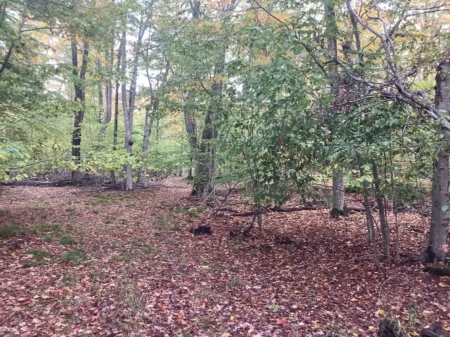 TBD Whidden Trl, Washington Island, WI 54246 - #2