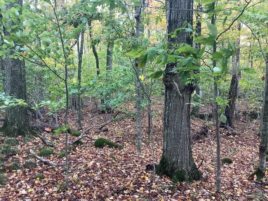 TBD Whidden Trl, Washington Island, WI 54246 - #3